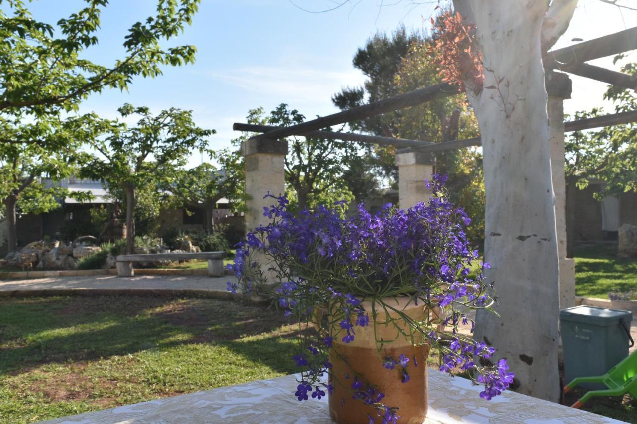 Tenuta Nonno Carmine Porto Cesareo Εξωτερικό φωτογραφία