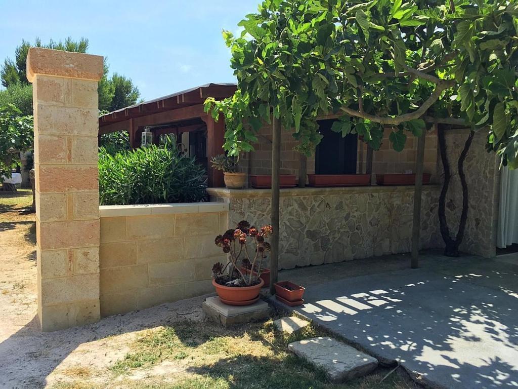 Tenuta Nonno Carmine Porto Cesareo Εξωτερικό φωτογραφία
